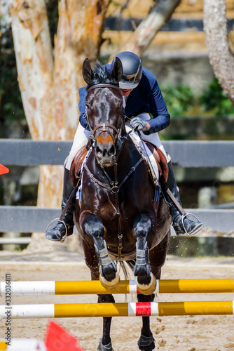 Jockey and horse in equestrian show jumping competition
