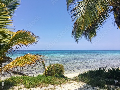 A view from the tropical island off the coast of Belize  laughing bird caye.  A tiny island visited by many tourists looking to enjoy swimming  snorkelling and scuba diving.