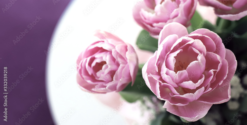 Pink Tulips on a little table with a lilac background/ backdrop. Colorful interior during Spring.