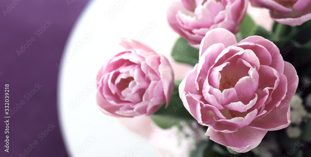 Fototapeta premium Pink Tulips on a little table with a lilac background/ backdrop. Colorful interior during Spring.