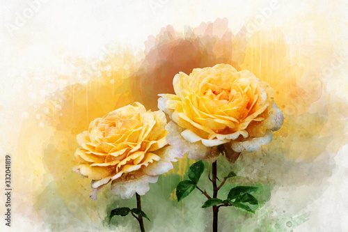 A watercolor drawing of a vibrant yellow rose flowers. Botanical art. Decorative element for a greeting card or wedding invitation