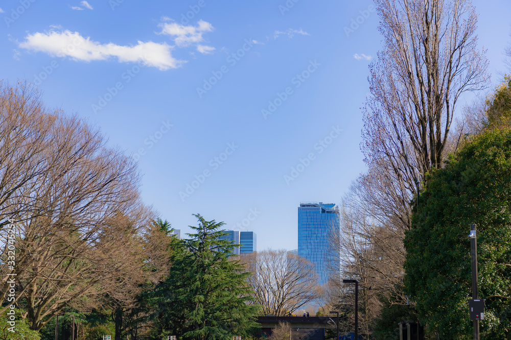 東京都渋谷区の代々木公園から見た東京の青空