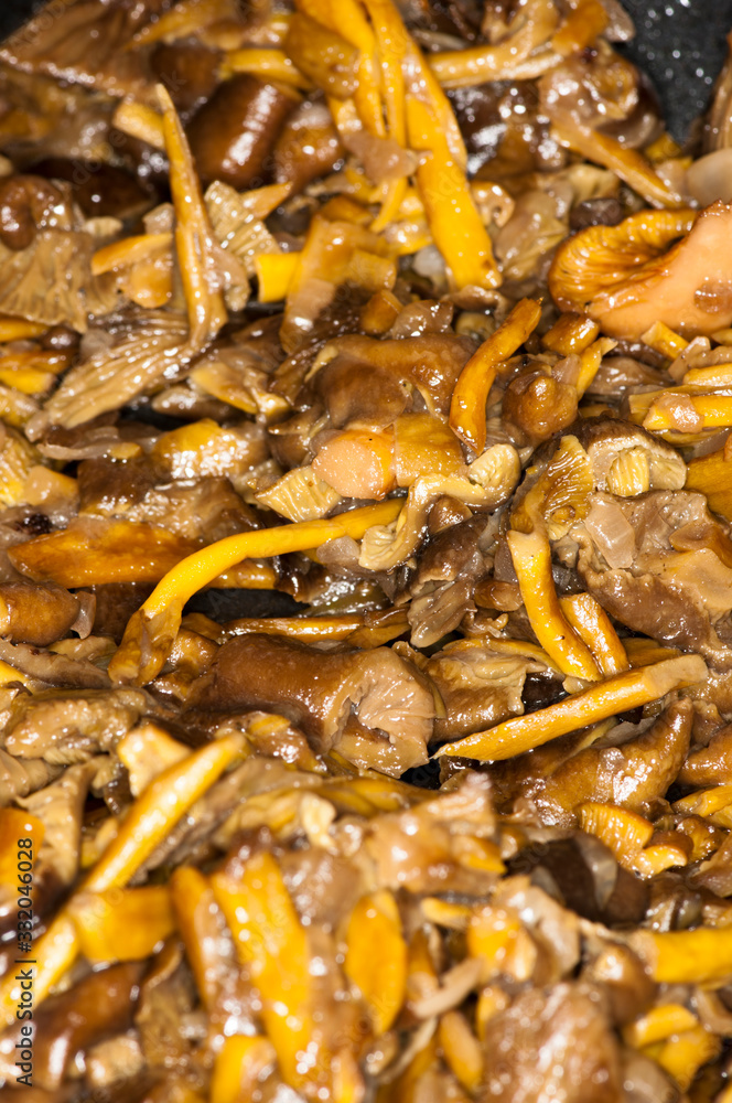 Craterellus tubaeformis Craterellus tubaeformis