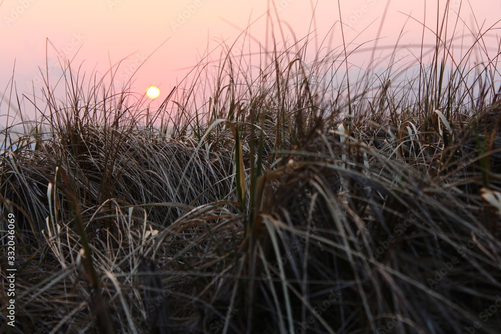 Fototapeta premium 潟上市 夕暮れ