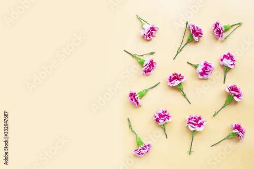 Carnation flower on yellow background. © Bowonpat