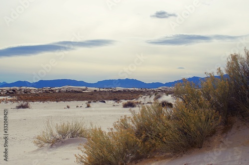 Fototapeta Naklejka Na Ścianę i Meble -  View of White Sands National Park gypsum sand dunes with vegetation. 