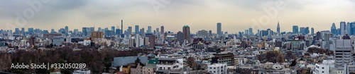 Cityscape in Tokyo Japan 