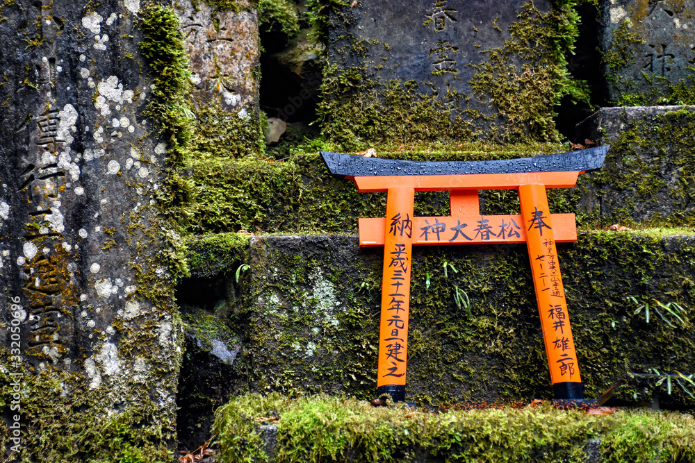 Torii sitting on moss at Fushimi Inari Shrine Torii sitting on moss at Fushimi Inari Shrine