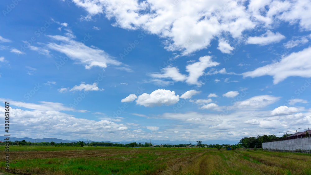 A wide farmer agriculture land of rice plantation farm after harvest season, under beautiful white fluffy cloud formation on vivid blue sky in a sunny day,  countryside of Thailand