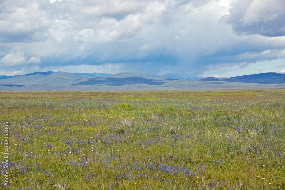 Spring grasslands and mountains in Centennial Valley near Lakeview, MT