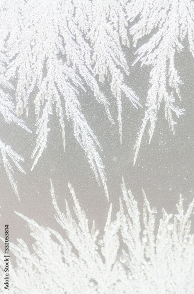 Fototapeta premium Frozen