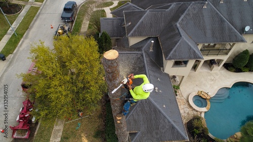 Arborist Removing a tree with a chainsaw