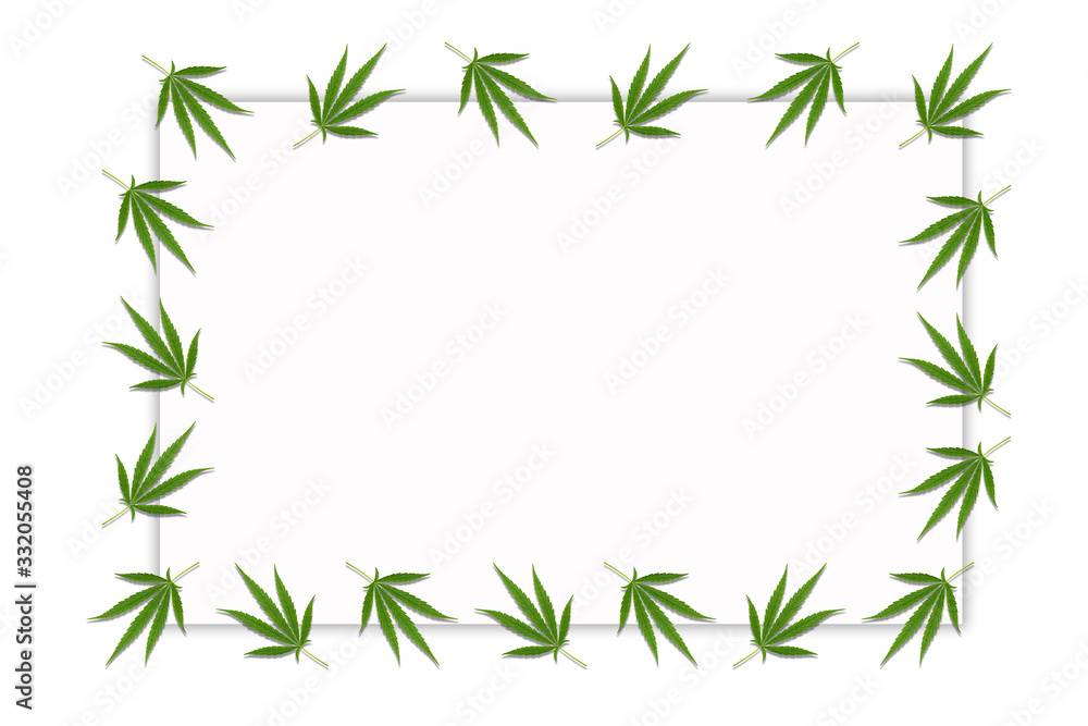 Frame with Cannabis leaves. Background with marijuana isolated on white background. Copy space. green cannabis leaf drug marijuana herb Background. Frame with Cannabis leaves. Background with marijuana isolated on white background. Copy space. green cannabis leaf drug marijuana herb Background.