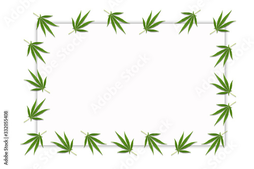 Fototapeta Naklejka Na Ścianę i Meble -  Frame with Cannabis leaves. Background with marijuana isolated on white background. Copy space. green cannabis leaf drug marijuana herb Background.