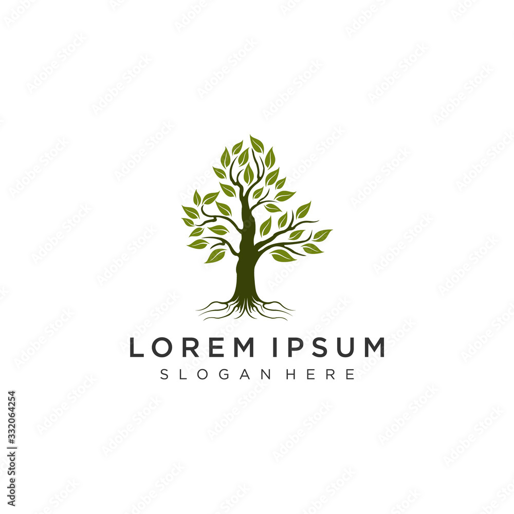 Obraz premium tree logo template