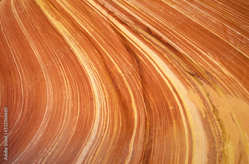 Close up of sandstone stripes, 'The Wave' on Kenab Coyote Butte, BLM, Slot Canyon, UT