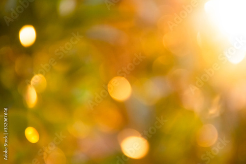 The bokeh background of the morning sunlight shining from the tree