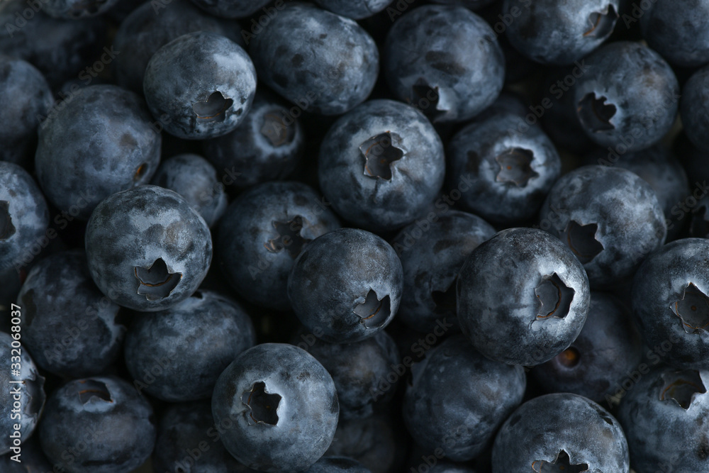 Scattering of fresh blueberries. Horizontal background. Close-up shot. Natural background Scattering of fresh blueberries. Horizontal background. Close-up shot. Natural background