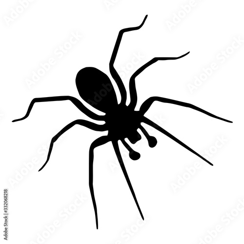 Hobo Spider Clipart