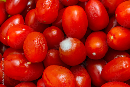 cherry tomatoes As a result, a small tomato taste, texture and smell different. And contain beta - carotene, vitamin C and vitamin E are high