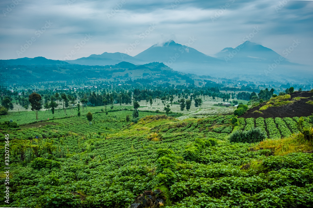 View of Mount Sabyinyo and Muhavura from Mount Bisoke volcano, Rwanda