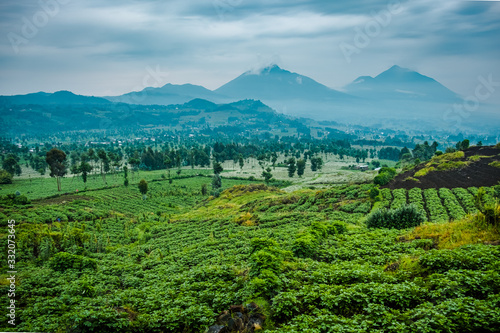 View of Mount Sabyinyo and Muhavura from Mount Bisoke volcano, Rwanda photo