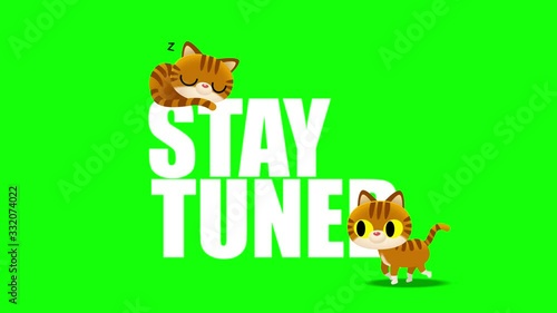 Loop animation of cute cat cartoon characters sleeping and another walking in front of -STAY TUNED- text on green screen background