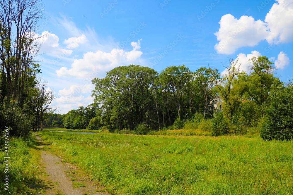 Countryside, green trees and meadow, blue sky and white clouds.