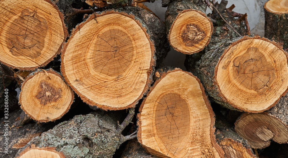 wood cut as background texture for artists wood cut as background texture for artists