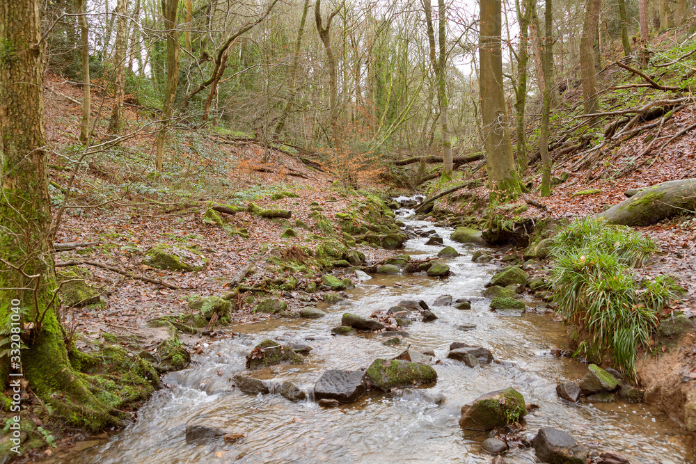 Small stream running through typical british woodland in winter Small stream running through typical british woodland in winter
