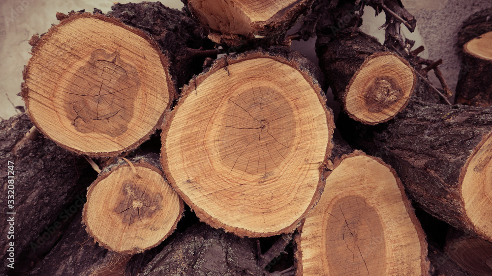 wood cut as background texture for artists wood cut as background texture for artists