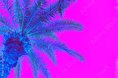 Bright blue holographic neon colored palm tree in abstract style on pink background. Night club beach party flyer template. Retro style creative summer design concept. Open composition. Copy space.
