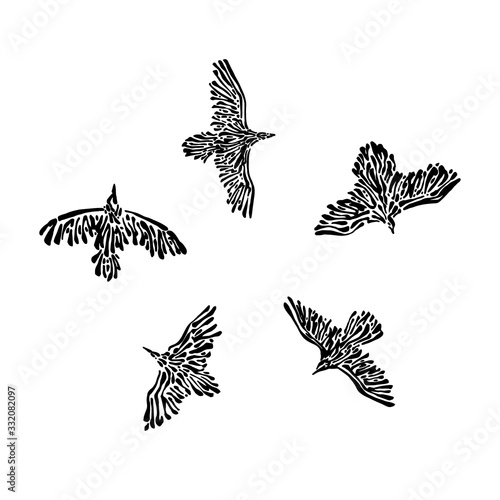 Canvas Print Hand drawn flying wild birds drawn by ink
