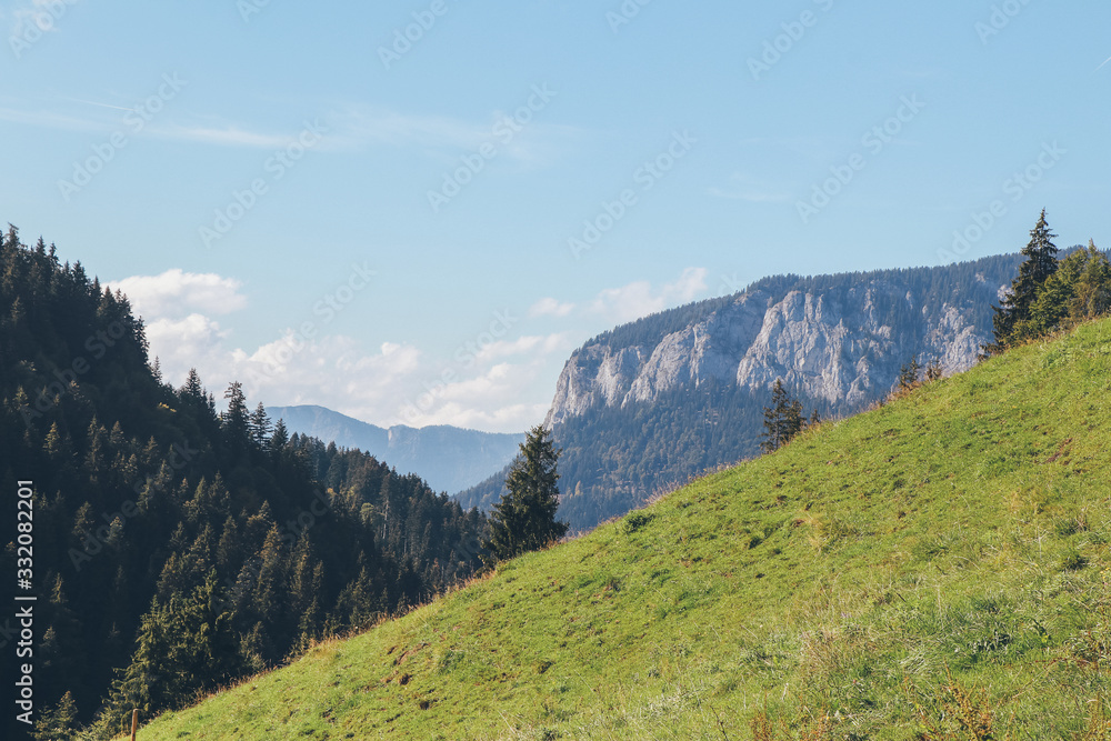 Berg, Alm, Wald, Landschaft, Natur, Sonne, wandern Berg, Alm, Wald, Landschaft, Natur, Sonne, wandern