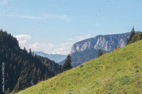 Berg, Alm, Wald, Landschaft, Natur, Sonne, wandern