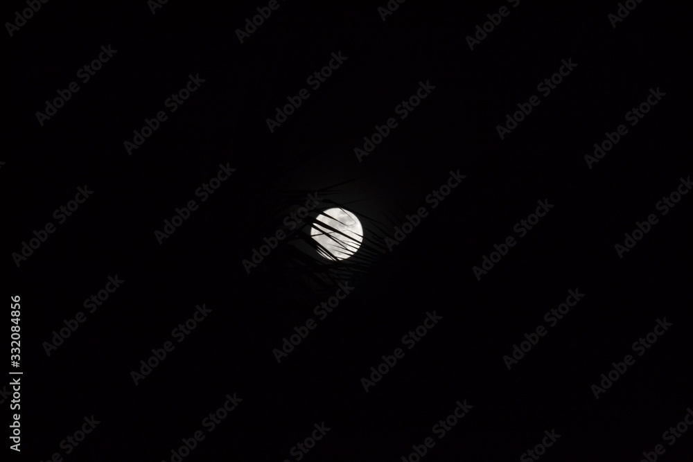 Full-moon with palm trees in a beautiful night in Thailand Full-moon with palm trees in a beautiful night in Thailand