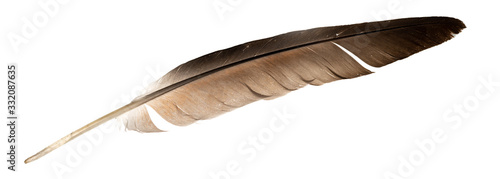 Obraz na płótnie wzór ptak kogut indyjski