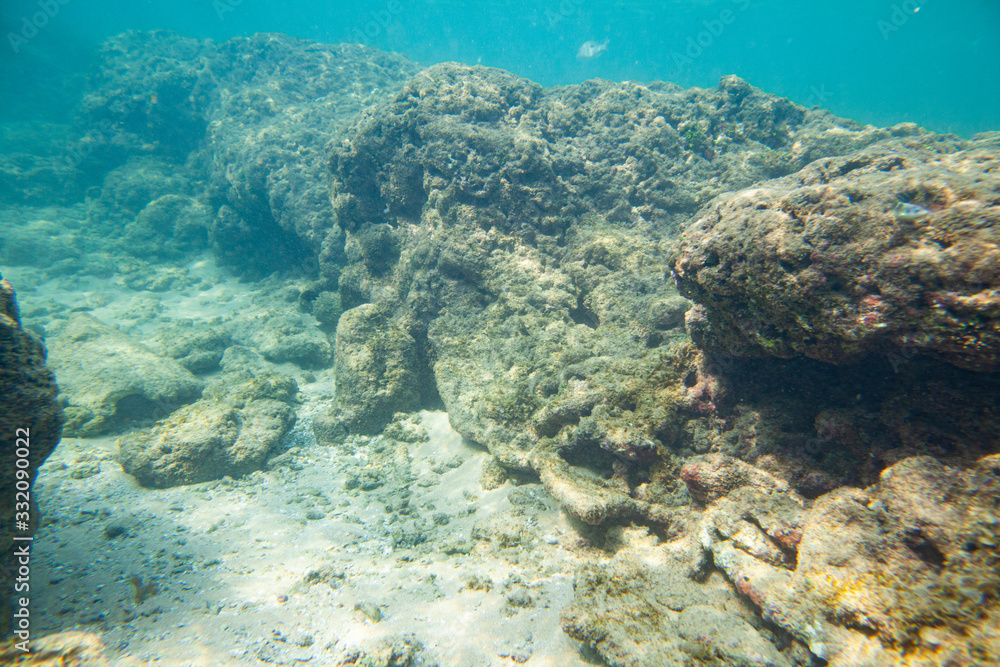 Ocean seabed with stones and sand.