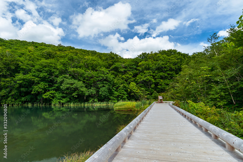 【青森県十和田市】夏の蔦沼は癒しの秘境