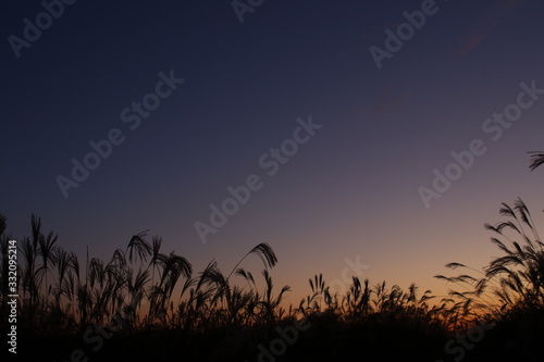         sky                                             orange                                        red                  beautiful             blue                           