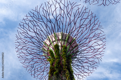  Supertree at gardens by the bay © Cons