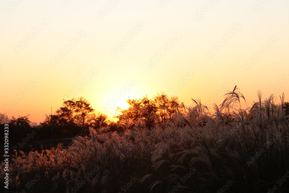 석양, sky, 태양, 경관, 나무, 일출, 네이처, orange, red, 나무, 구름, 실루엣, 오늘밤, 저녁, 구름, beautiful, 들판, 모닝, blue, 새벽, 여행, yellow 석양, sky, 태양, 경관, 나무, 일출, 네이처, orange, red, 나무, 구름, 실루엣, 오늘밤, 저녁, 구름, beautiful, 들판, 모닝, blue, 새벽, 여행, yellow