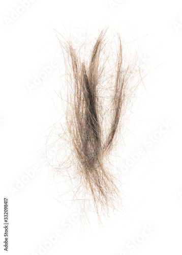 Hair bundle isolated on white background. tuft hair close-up