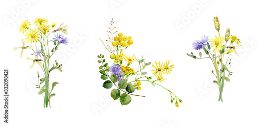 Watercolor bouquets of blue and yellow wild flowers © Olga F
