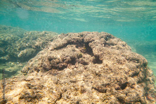 Ocean seabed with stones and sand.