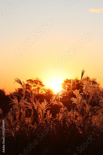         sky                                                     orange                             red                                                beautiful                