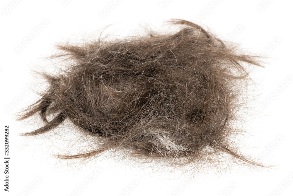 Hair bundle isolated on white background. tuft hair close-up Hair bundle isolated on white background. tuft hair close-up