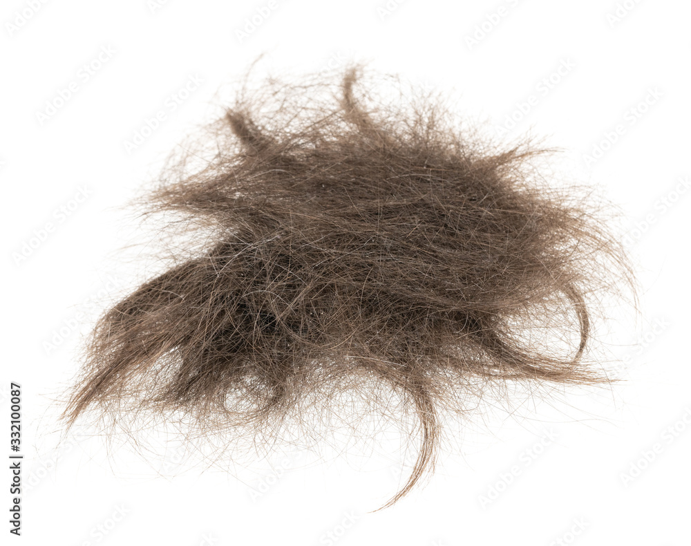 Hair bundle isolated on white background. tuft hair close-up Hair bundle isolated on white background. tuft hair close-up