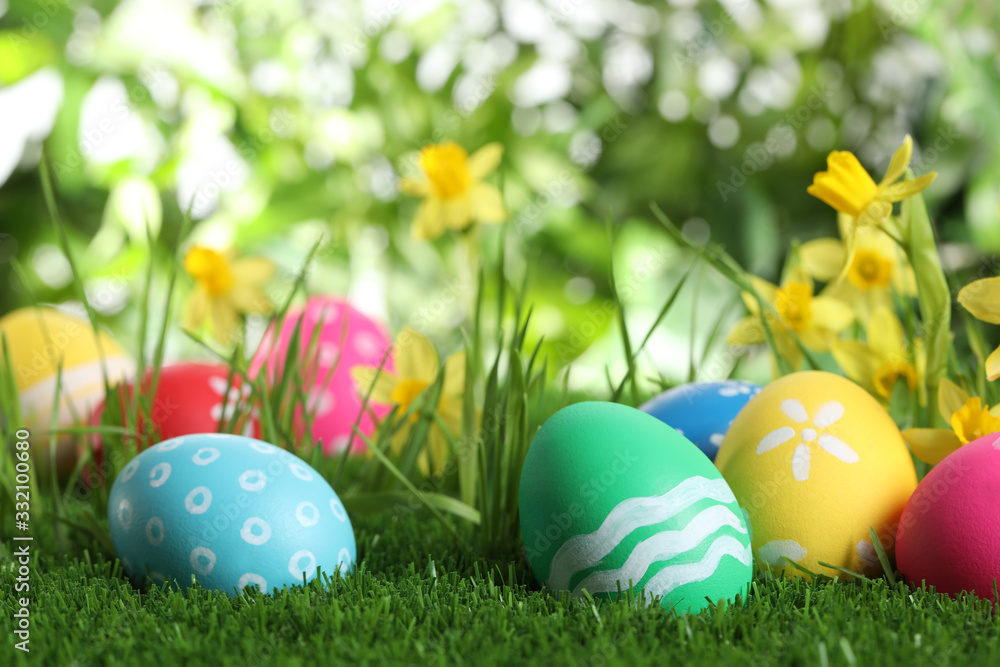 Colorful Easter eggs and daffodil flowers in green grass