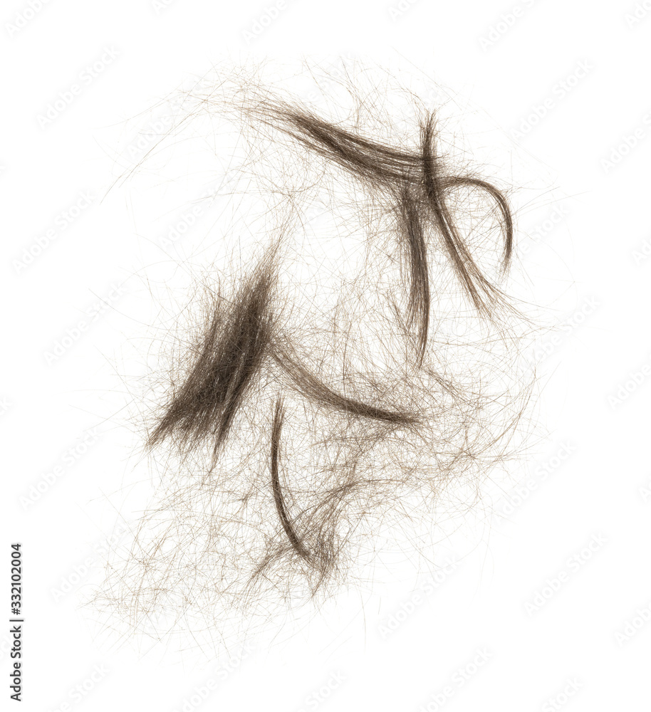 Hair bundle isolated on white background. tuft hair close-up Hair bundle isolated on white background. tuft hair close-up